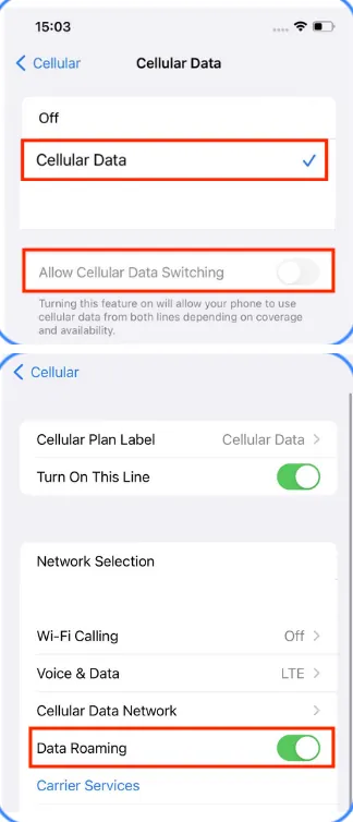iPhone example showing the mobile data line and Data Roaming turned on