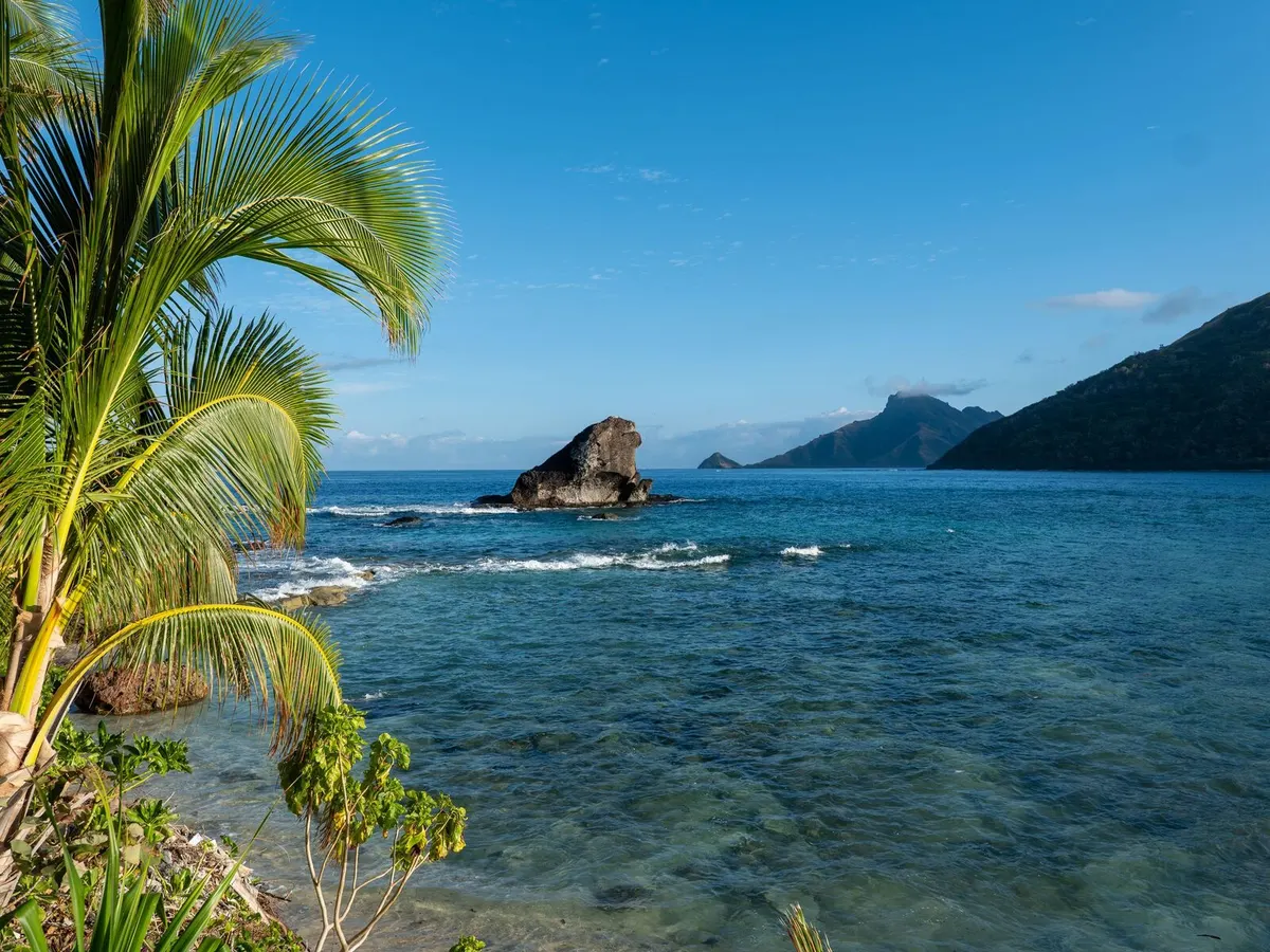 Palm trees and clear blue water on a beach in Fiji