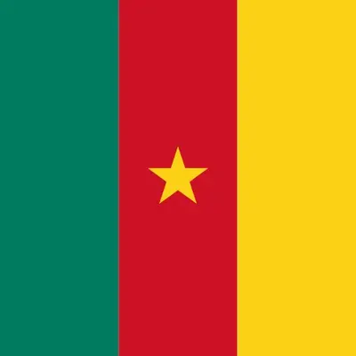 Cameroon unlimited daily eSIM