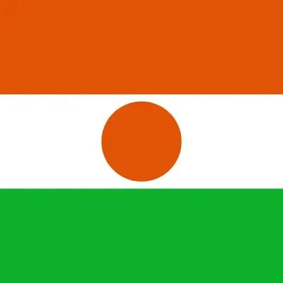 Niger unlimited daily eSIM