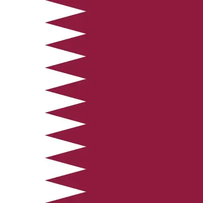 Qatar unlimited daily eSIM