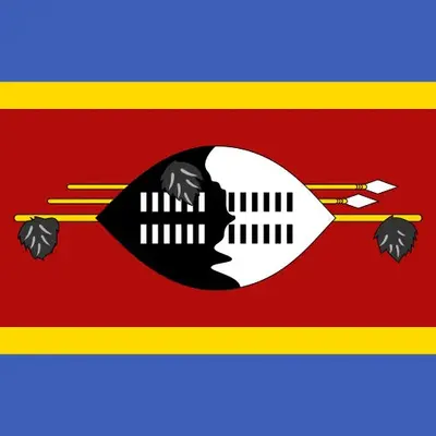 Eswatini unlimited daily eSIM