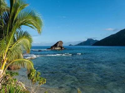 Palm trees and clear blue water on a beach in Fiji