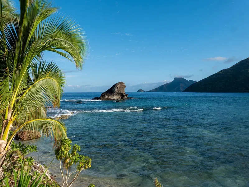 Palm trees and clear blue water on a beach in Fiji